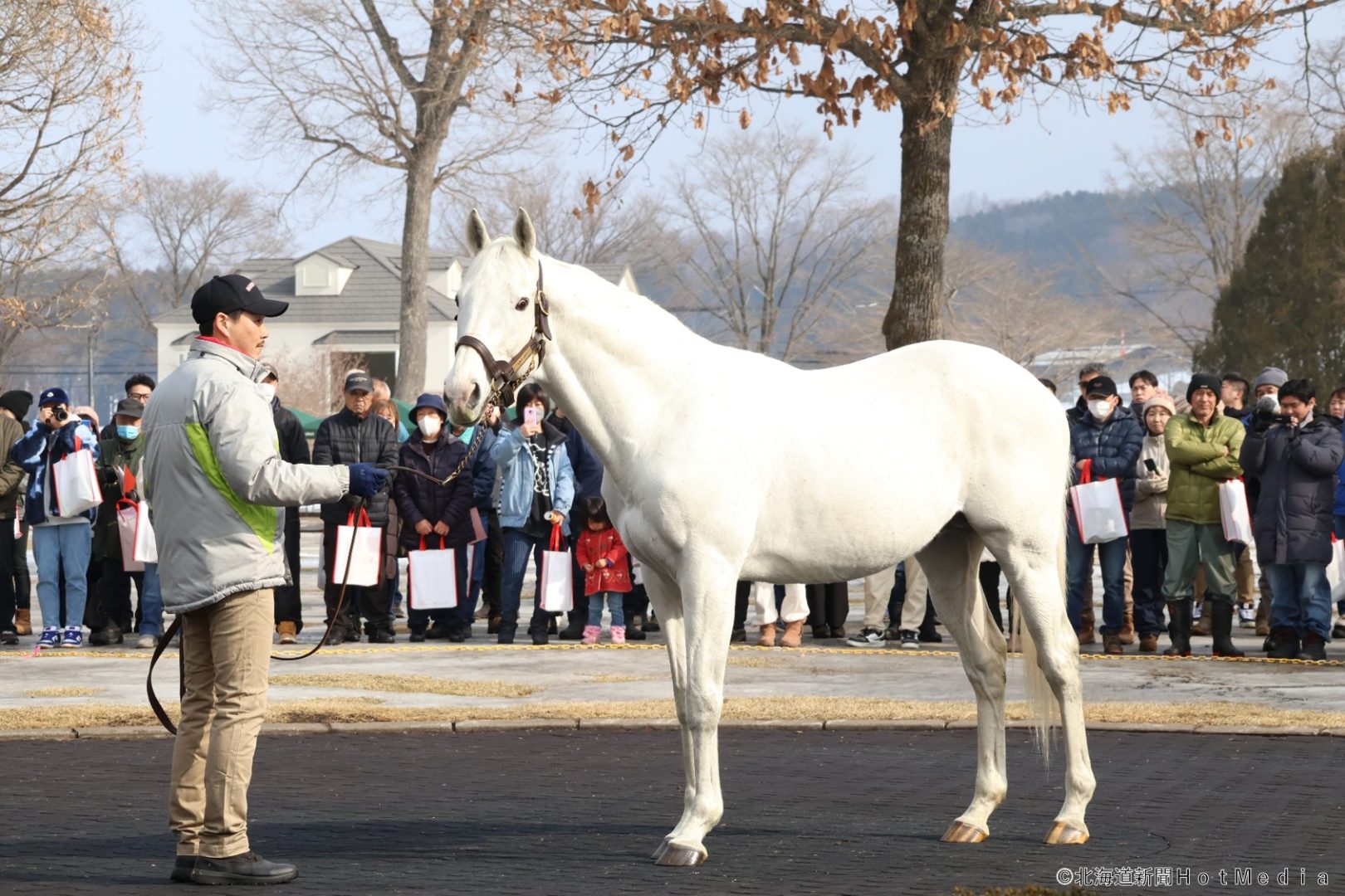 競馬　ゴールドシップ　宝塚記念　Lサイズ　未開封 c47d800a630ad409fe22140fa6246f