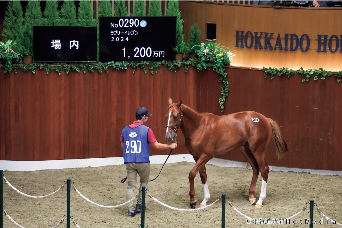 セレクションセール】東京都馬主会 スター発掘へ加速 時代に