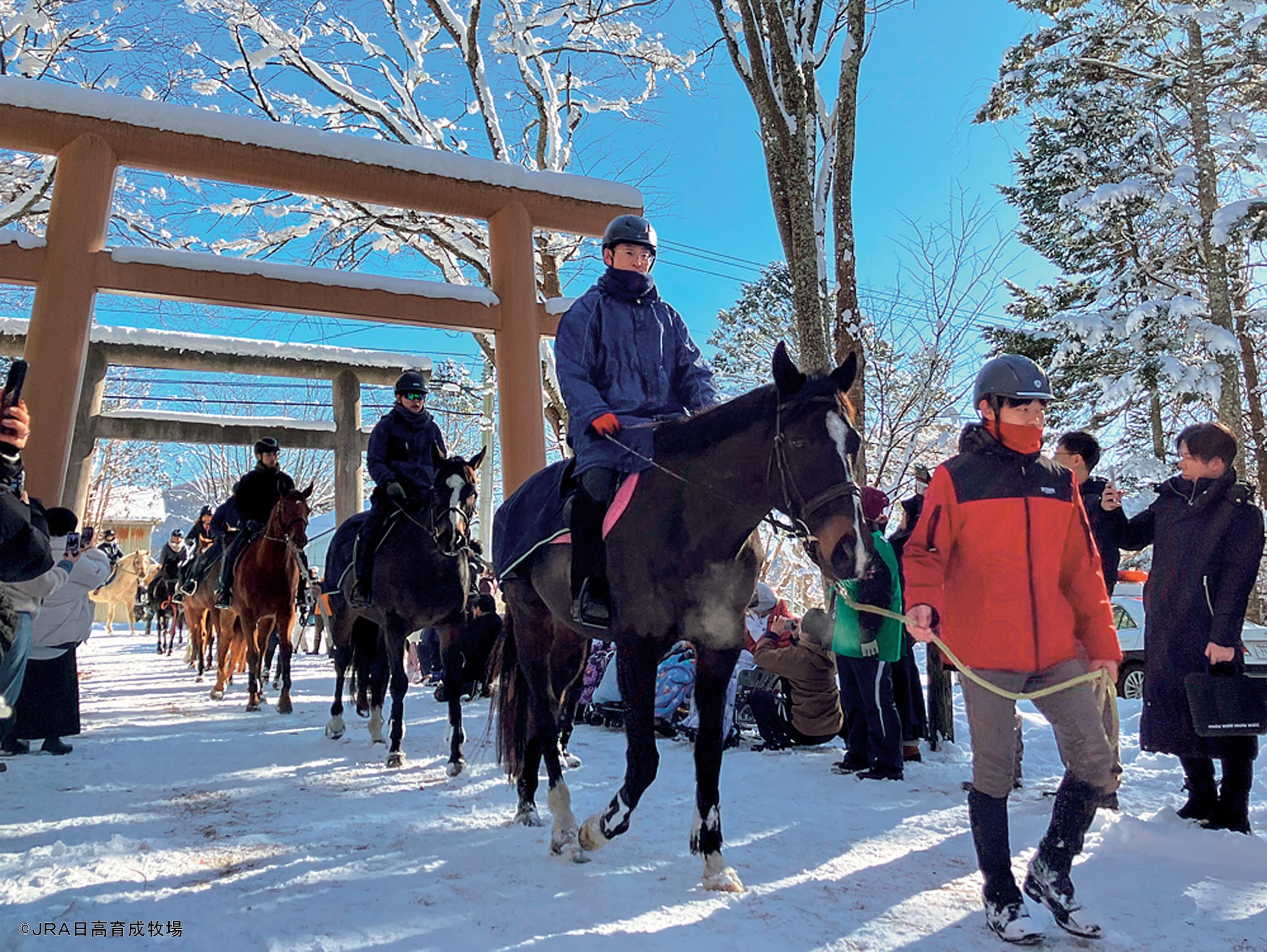 馬づくりは人づくりから - 特集 - Baji News powered by 馬事通信