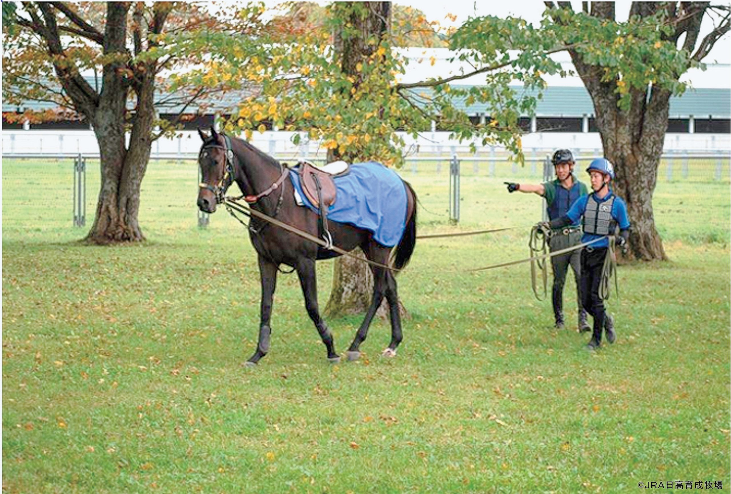 馬づくりは人づくりから - 特集 - Baji News powered by 馬事通信