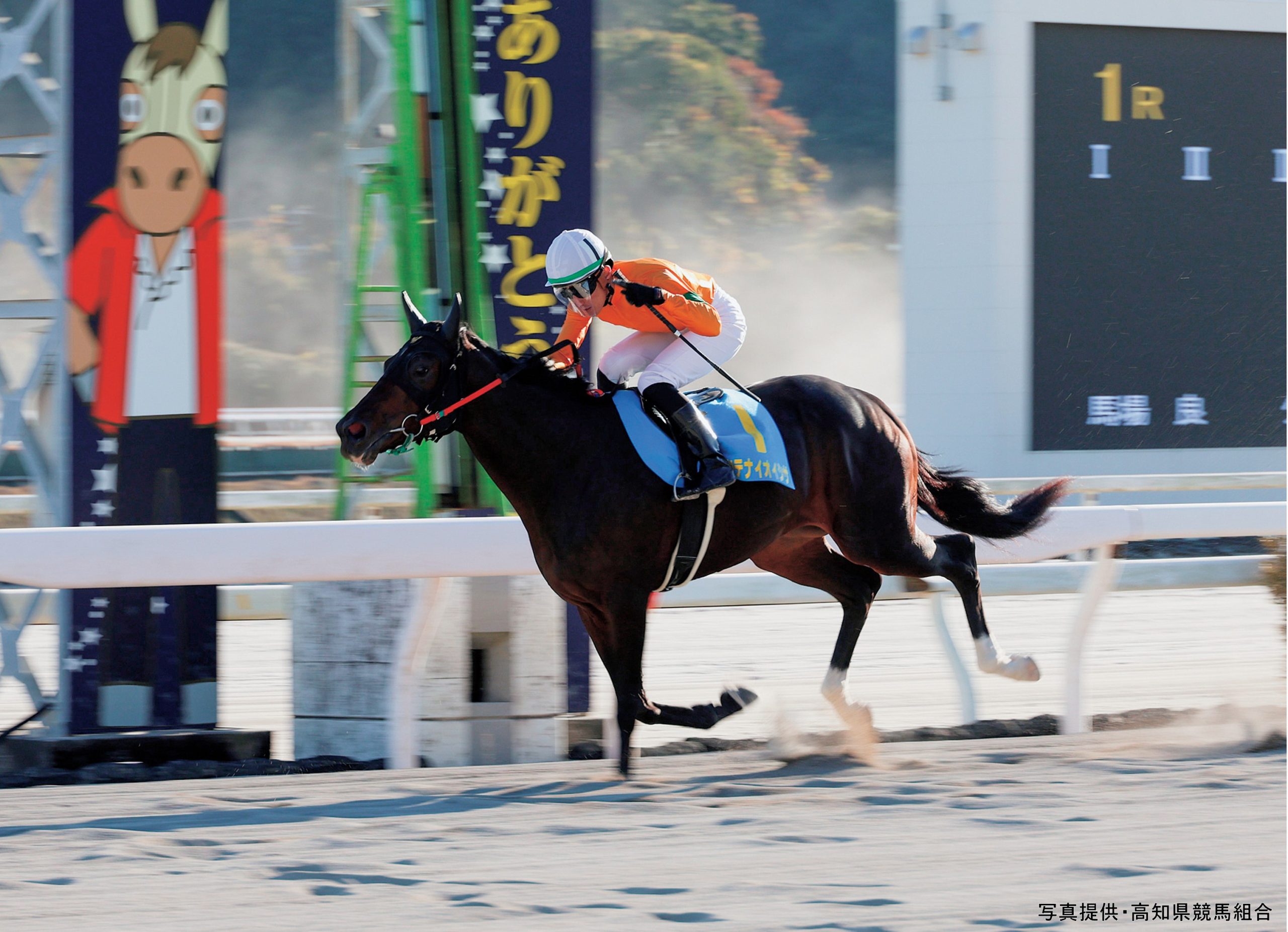 競馬 ヘッドシップ：第54回 カブトヤマ記念(金文字仕様)「THE GRADE ONE