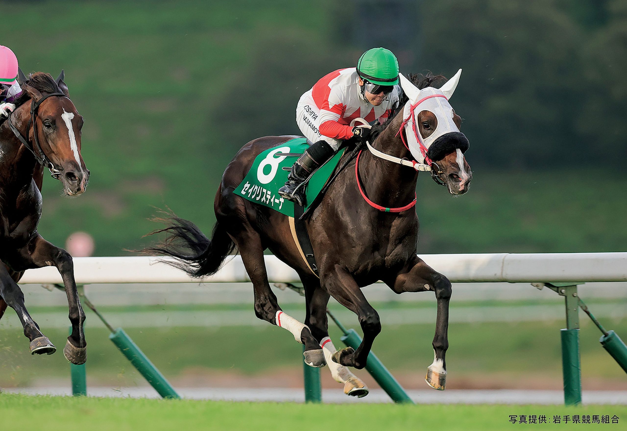 2025表彰馬 2歳最優秀馬＆最優秀牝馬 T.Mファーム合同会社生産セイ