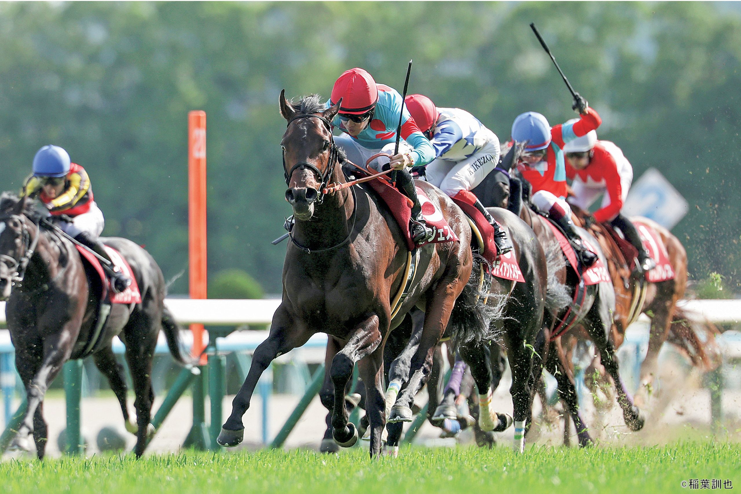JRA【競馬】 87th 日本ダービー馬 コントレイル 二つ折り財布 コントレイル産駒が日本ダービーに！青葉賞は千代田牧場生産ゴー